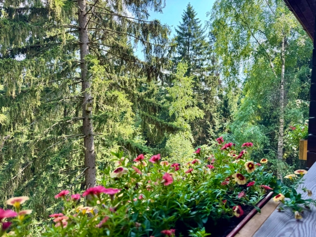 Купить дом в Тверской области. Вариант № 52775, 22, площадь - квм, цена 169900000 рублей