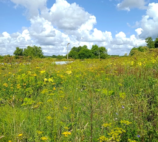 Купить земельный участок в Обнинске. Вариант № 14976, 5, площадь -  квм, цена 4500000 рублей