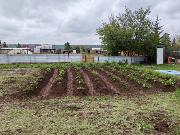 Купить дачу в Иркутской области. Вариант № 27943, 18, площадь -  квм, цена 1500000 рублей