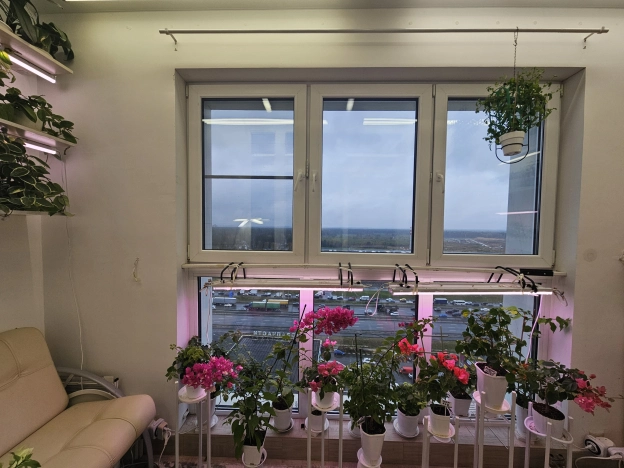 Купить трехкомнатную квартиру в Пушкине. Вариант № 5755488, 15, площадь -  квм, цена 16000000 рублей