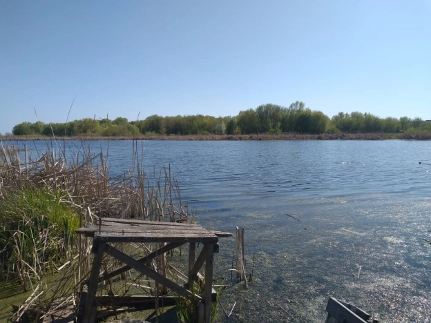 Купить дом в районе Советский в Воронеже. Вариант № 979210, 19, площадь -  квм, цена 14900000 рублей