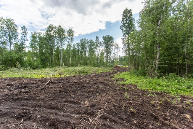 Купить земельный участок в Тобольске. Вариант № 1240439, 2, площадь -  квм, цена 1500000 рублей