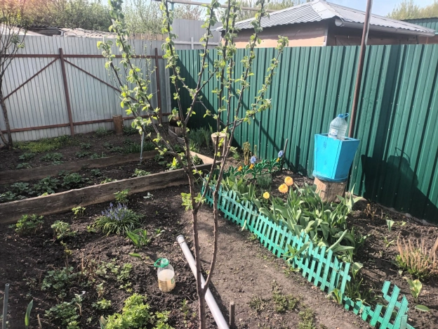 Купить квартиру на улице Центральная в Пензенской области. Вариант № 20505, 13, площадь -  квм, цена 2300000 рублей