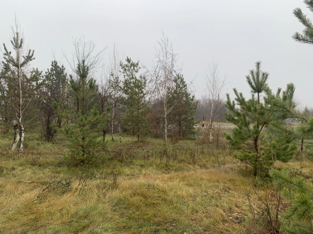 Купить дом в Воронеже. Вариант № 7653827, 40, площадь - квм, цена 1300000 рублей