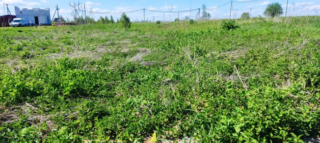 Купить земельный участок в Нижегородской области. Вариант № 34914, 3, площадь -  квм, цена 700000 рублей