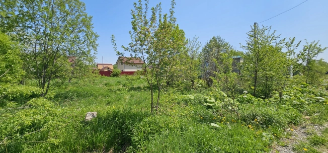 Купить земельный участок на улице Берёзовый переулок в Южно-Сахалинске. Вариант № 32694, 0, площадь - квм, цена 1300000 рублей