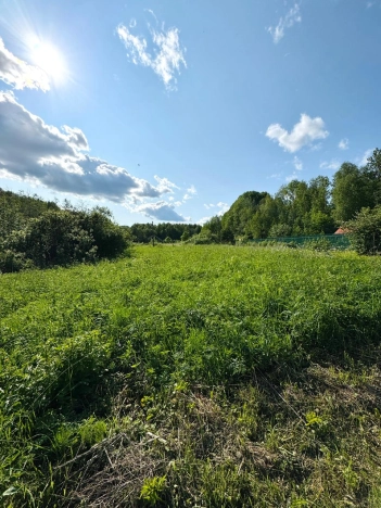 Купить земельный участок в Вологодской области. Вариант № 49283, 1, площадь -  квм, цена 550000 рублей