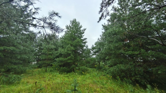 Купить земельный участок на улице Журавлиха в Владимире. Вариант № 44659, 16, площадь -  квм, цена 2000000 рублей