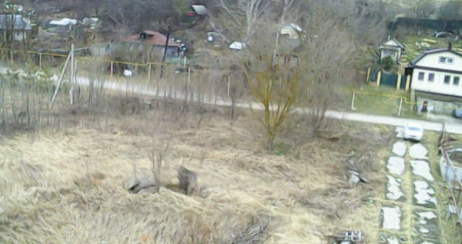 Купить земельный участок в Нижегородской области. Вариант № 30235, 14, площадь -  квм, цена 1950000 рублей