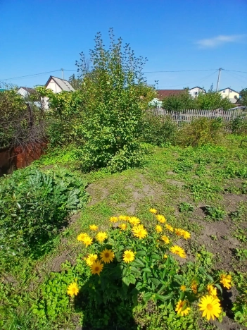 Купить земельный участок в Искитиме. Вариант № 3018272, 4, площадь -  квм, цена 1500000 рублей