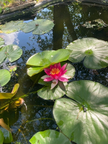 Купить дом на улице Весенняя в Калуге. Вариант № 37228, 8, площадь - квм, цена 1550000 рублей