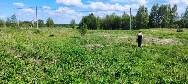 Купить земельный участок в Нижегородской области. Вариант № 34914, 1, площадь -  квм, цена 700000 рублей