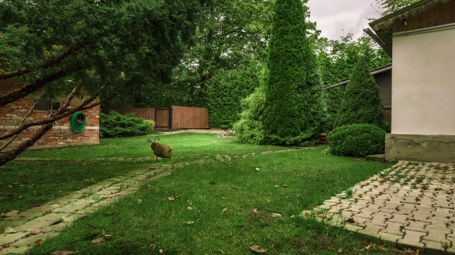 Купить дом на улице Каменная в Зеленоградске. Вариант № 14784, 31, площадь -  квм, цена 15500000 рублей