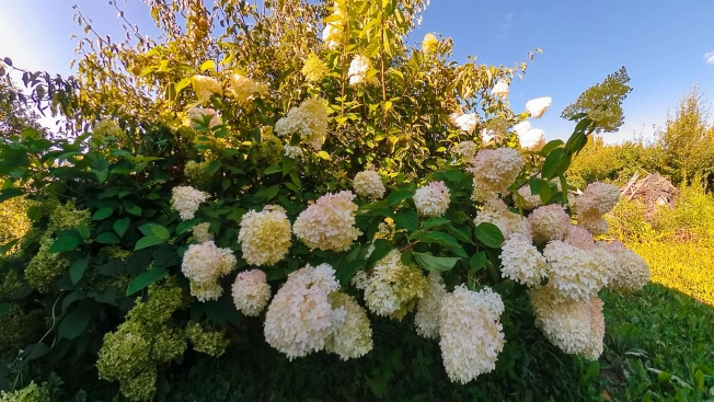 Купить дачу в Владимирской области. Вариант № 8222623, 12, площадь -  квм, цена 950000 рублей