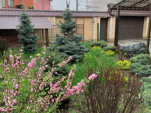 Купить дом в Краснодаре. Вариант № 44952, 38, площадь - квм, цена 44440000.0000 рублей