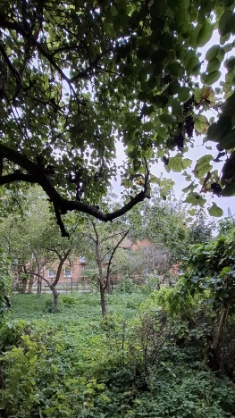 Купить однокомнатную квартиру на улице Олимпийская в Калининградской области. Вариант № 6658220, 4, площадь -  квм, цена 1850000 рублей