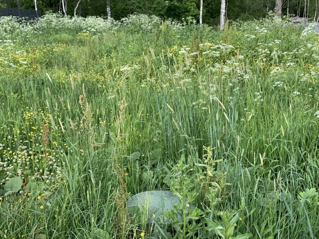 Купить земельный участок в Сергиеве Посаде. Вариант № 13056, 13, площадь -  квм, цена 2800000 рублей