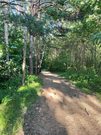Купить однокомнатную квартиру у метро Бунинская аллея в Подольске. Вариант № 42596, 17, площадь -  квм, цена 6550000 рублей