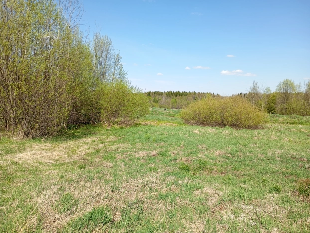 Купить земельный участок в Республике Коми. Вариант № 46055, 4, площадь -  квм, цена 240000 рублей