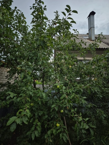 Купить дом в Воронеже. Вариант № 41801, 6, площадь -  квм, цена 7400000 рублей