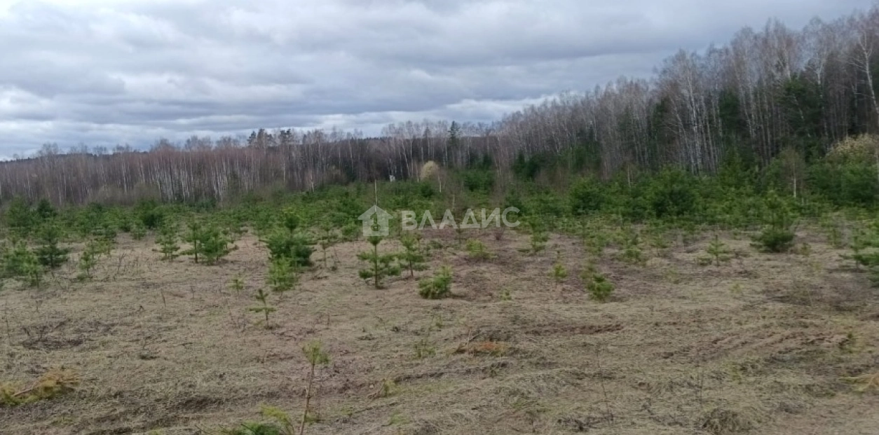 Photo https://36000382-a1c2-4a8a-a109-3fc3bfc73cf7.selcdn.net/App/Entity/ObjectRealty/ObjectRealty/TK/b2888456-fe17-4d4b-b450-2bdcc15c33c2/gYhLPv5fPX4jjbz28nQCp9f8nUNU5mL9HjTYzmrv.jpg.compressed.webp
