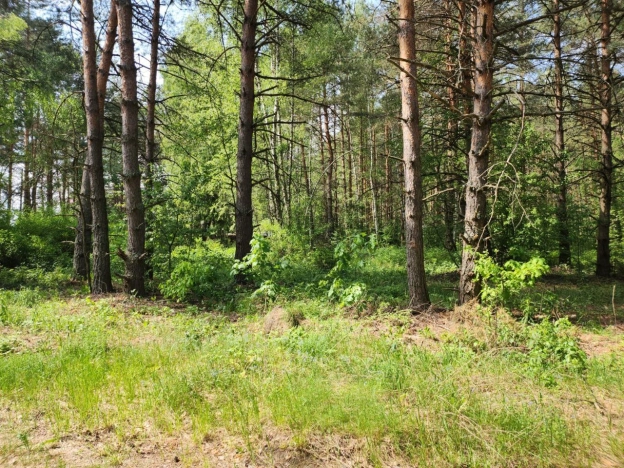 Купить земельный участок в Покрове. Вариант № 6271, 3, площадь -  квм, цена 1490000 рублей