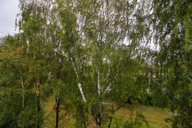 Купить квартиру на улице Лакина в Владимире. Вариант № 3230151, 38, площадь -  квм, цена 4370000 рублей