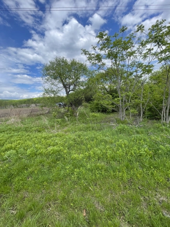 Купить земельный участок в Уссурийске. Вариант № 46453, 2, площадь -  квм, цена 1100000 рублей