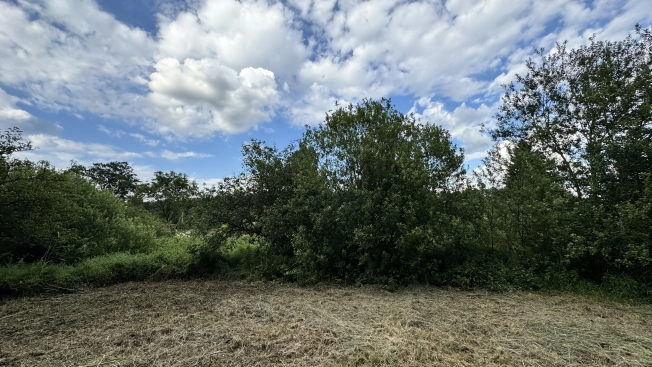 Купить земельный участок в Калининграде. Вариант № 24451, 9, площадь - квм, цена 980000 рублей