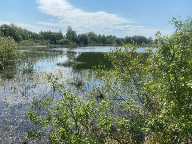 Купить дом в Калуге. Вариант № 8897, 11, площадь -  квм, цена 580000 рублей