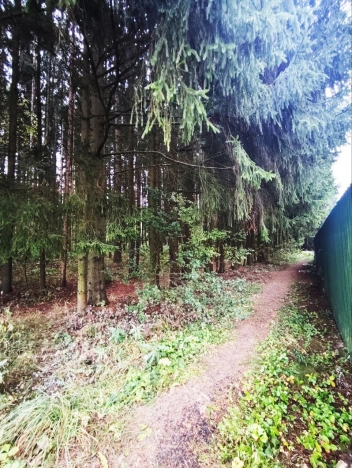 Купить земельный участок в Москве. Вариант № 6062558, 5, площадь -  квм, цена 4200000 рублей