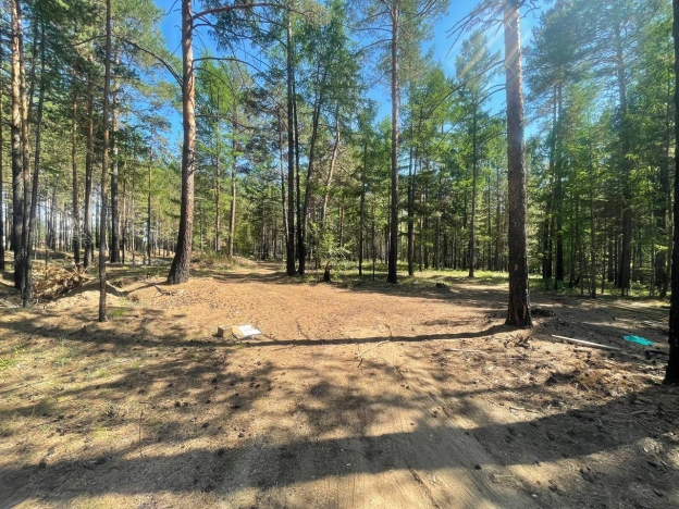 . Вариант № 11718, 29, площадь - 145 квм, цена 7200000 рублей