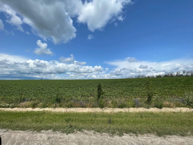 . Вариант № 55115, 24, площадь - 139.1 квм, цена 9200000 рублей