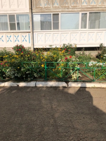 . Вариант № 13393, 10, площадь - 49.5 квм, цена 2000000 рублей