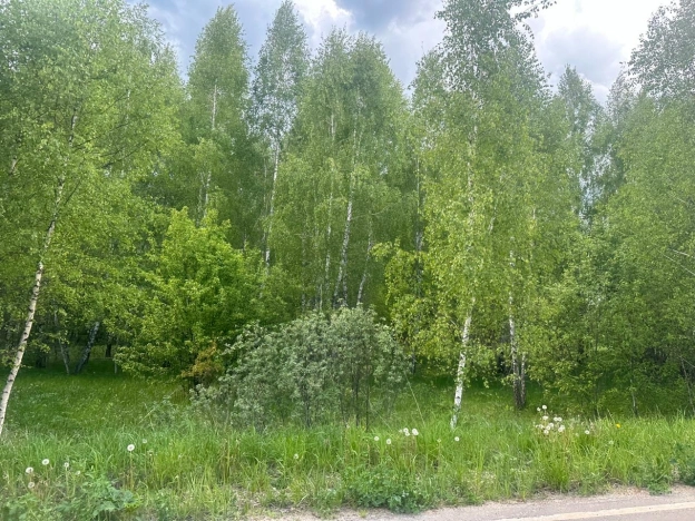 Купить земельный участок в Тульской области. Вариант № 8312, 5, площадь -  квм, цена 2100000 рублей