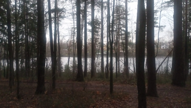 Купить земельный участок на улице Гоголя в Всеволожске. Вариант № 17441, 7, площадь -  квм, цена 81000000 рублей