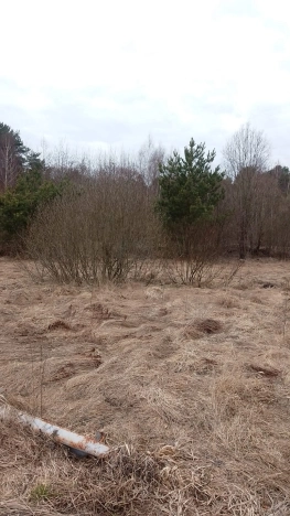 Купить земельный участок в Тверской области. Вариант № 8944113, 3, площадь -  квм, цена 1550000 рублей