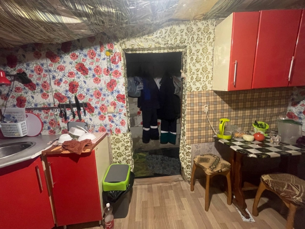 Купить дом в Воронежской области. Вариант № 9693249, 10, площадь -  квм, цена 2500000 рублей