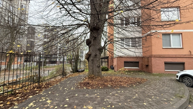 Купить квартиру в районе Центральный в Калининграде. Вариант № 9072970, 11, площадь -  квм, цена 5890000 рублей