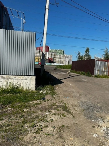 Купить земельный участок у метро Шушары в Санкт-Петербурге. Вариант № 46491, 3, площадь -  квм, цена 15999999 рублей