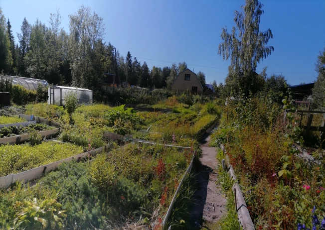 Купить земельный участок в Республике Коми. Вариант № 2839048, 3, площадь -  квм, цена 650000 рублей