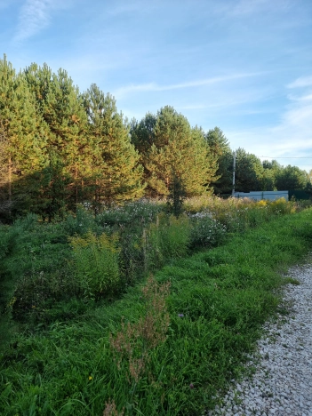 Купить земельный участок в Коврове. Вариант № 4850852, 7, площадь -  квм, цена 800000 рублей