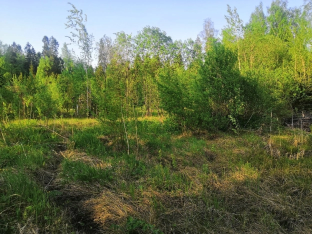 Купить земельный участок на улице Полевая в Вологодской области. Вариант № 1630, 5, площадь -  квм, цена 200000 рублей