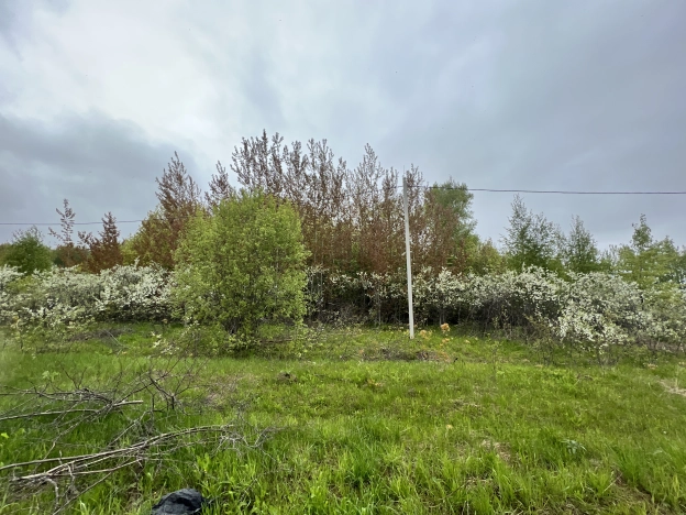 Купить земельный участок в Владимире. Вариант № 1025, 3, площадь -  квм, цена 333000 рублей