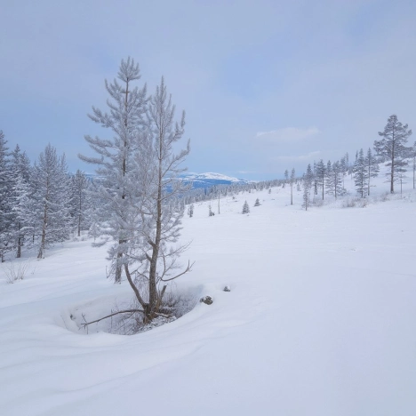 Купить земельный участок в Улан-Удэ. Вариант № 2941209, 0, площадь -  квм, цена 800000 рублей