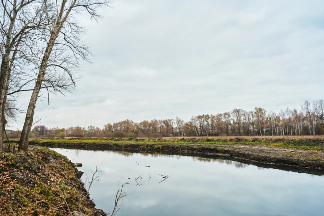 Купить земельный участок в Воронеже. Вариант № 16995, 4, площадь -  квм, цена 850000 рублей