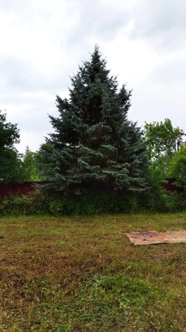 Купить дом в Ярославской области. Вариант № 3942320, 6, площадь -  квм, цена 1600000 рублей