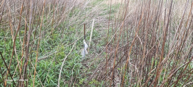 Купить земельный участок на улице 17-я линия в Светлогорске. Вариант № 40588, 1, площадь -  квм, цена 850000 рублей