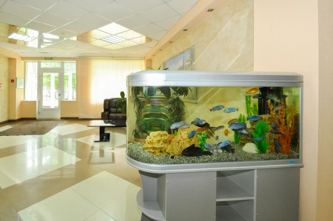 Купить помещения под гостиницу в Новосибирске. Вариант № 1345749, 4, площадь -  квм, цена 480000000 рублей