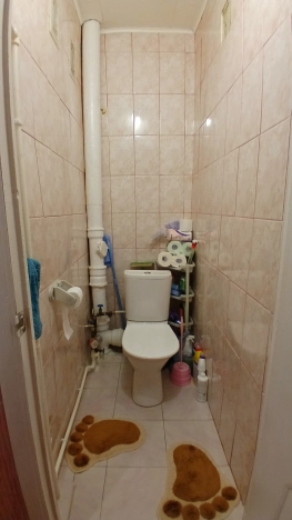 . Вариант № 10099372, 18, площадь - 54.4 квм, цена 3950000 рублей